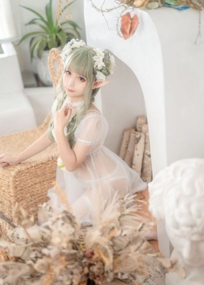 樱花动漫斗破苍穹