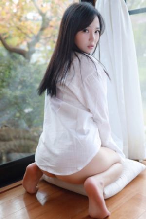 疯狂动物城免费观看完整中文