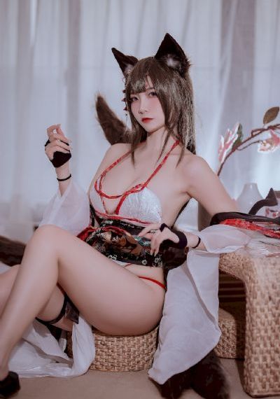 龙珠传奇第二部