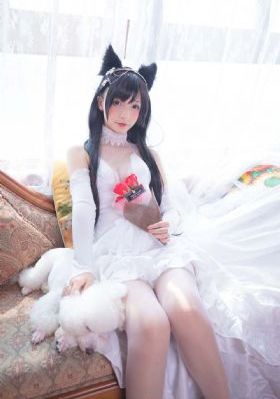 农家女婿千金媳妇